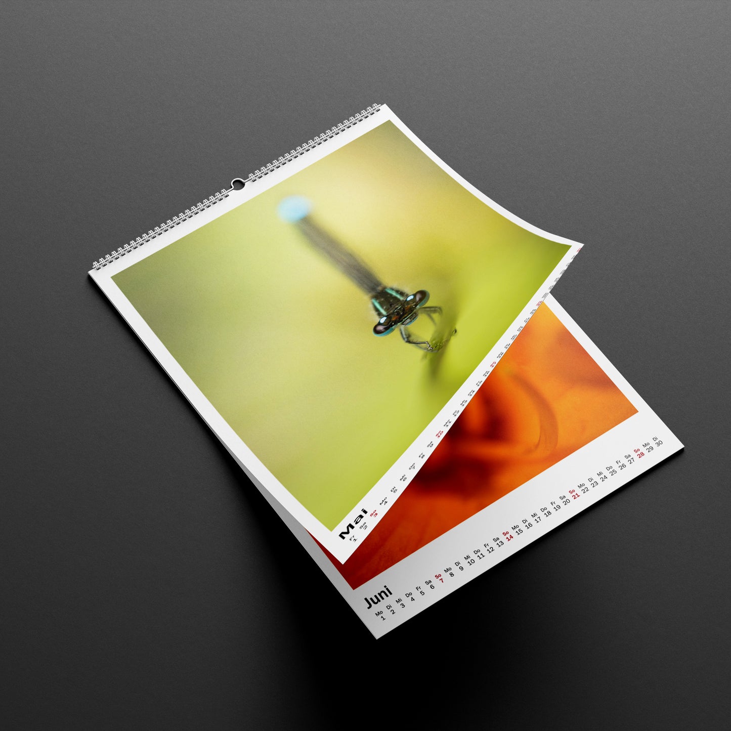 Wandkalender 2026 Hochformat