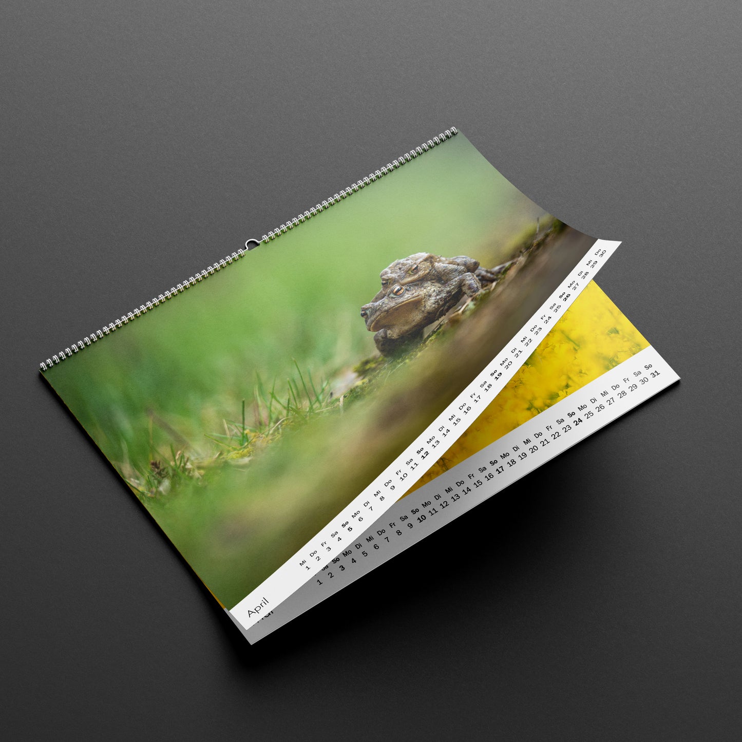 Wandkalender 2026 Querformat