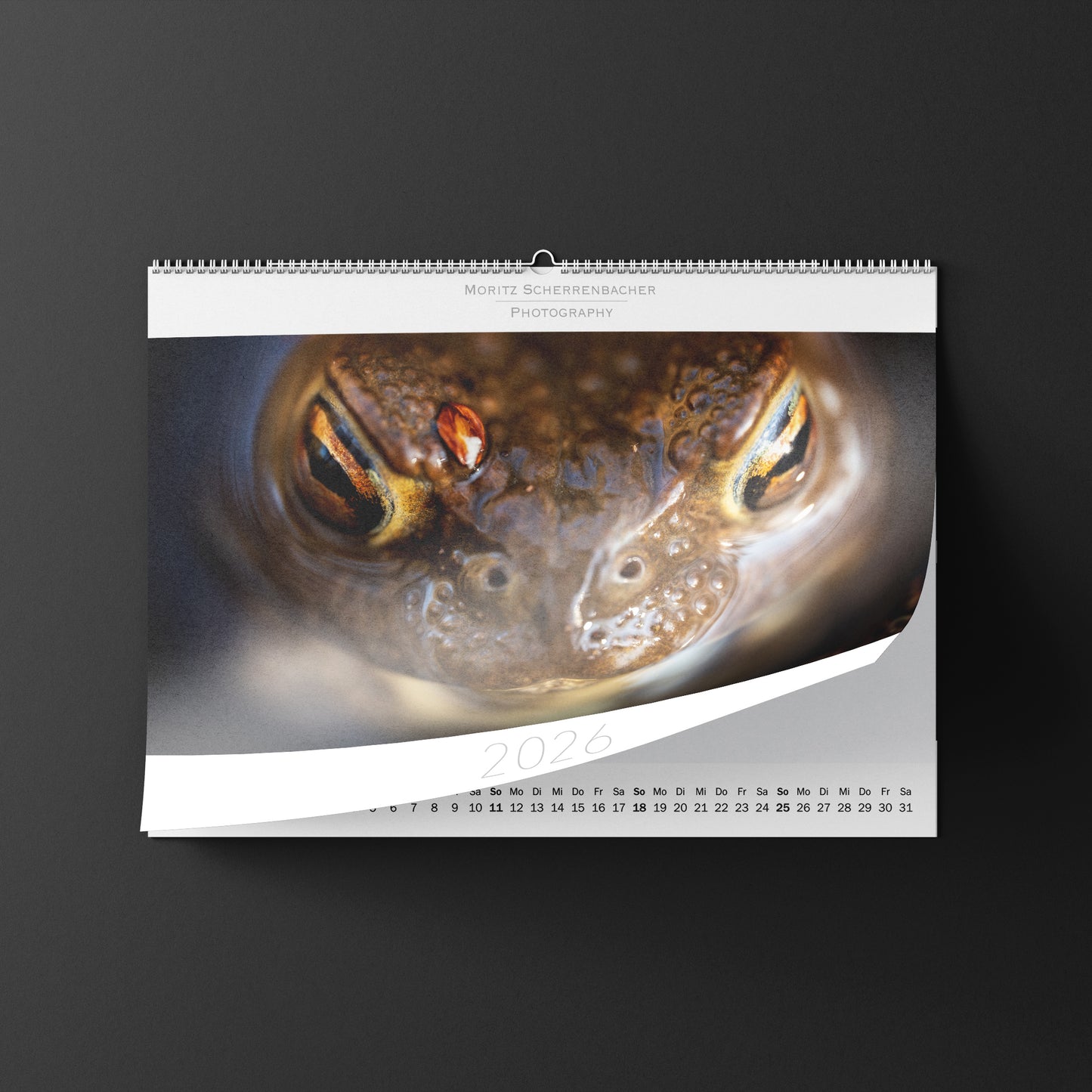 Wandkalender 2026 Querformat