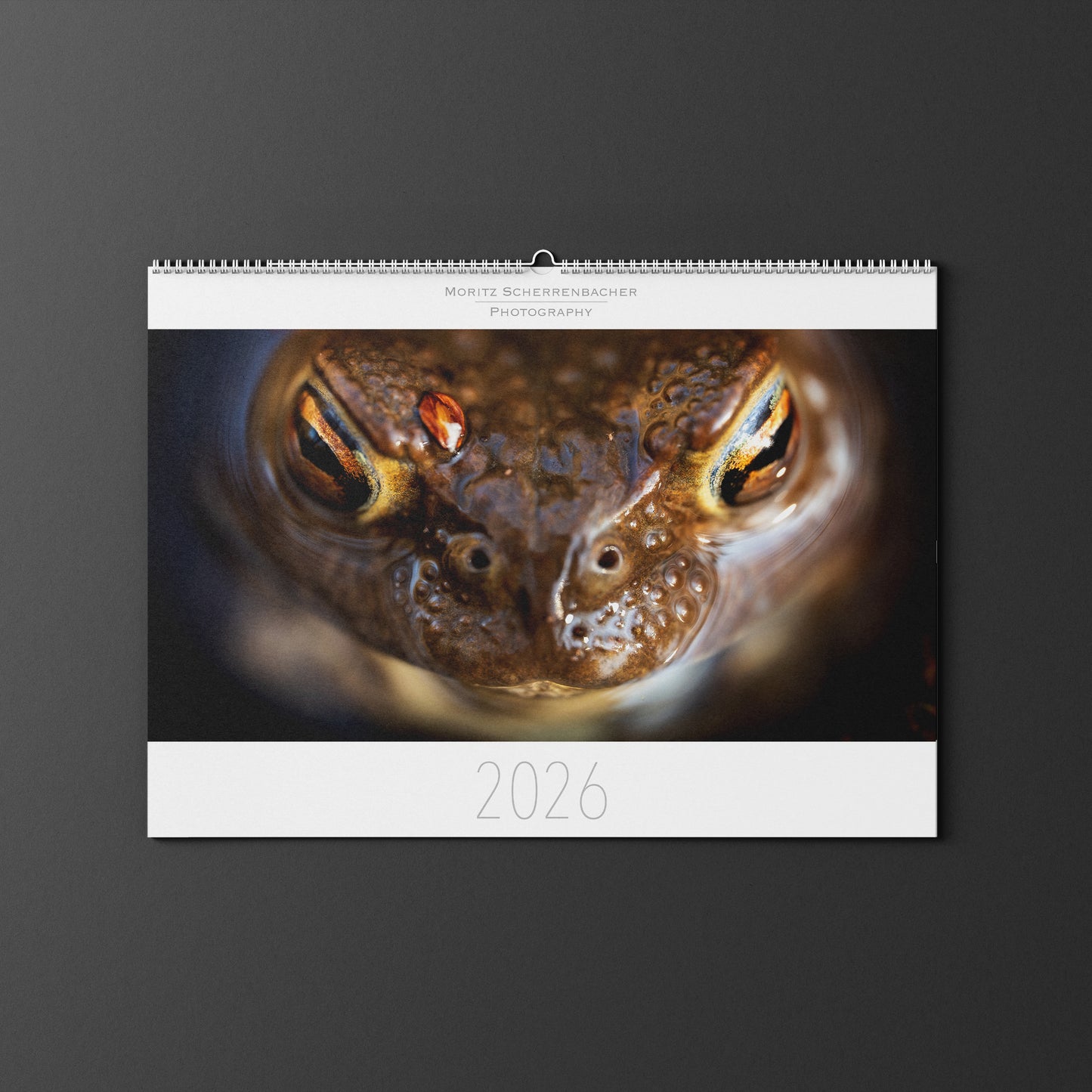 Wandkalender 2026 Querformat