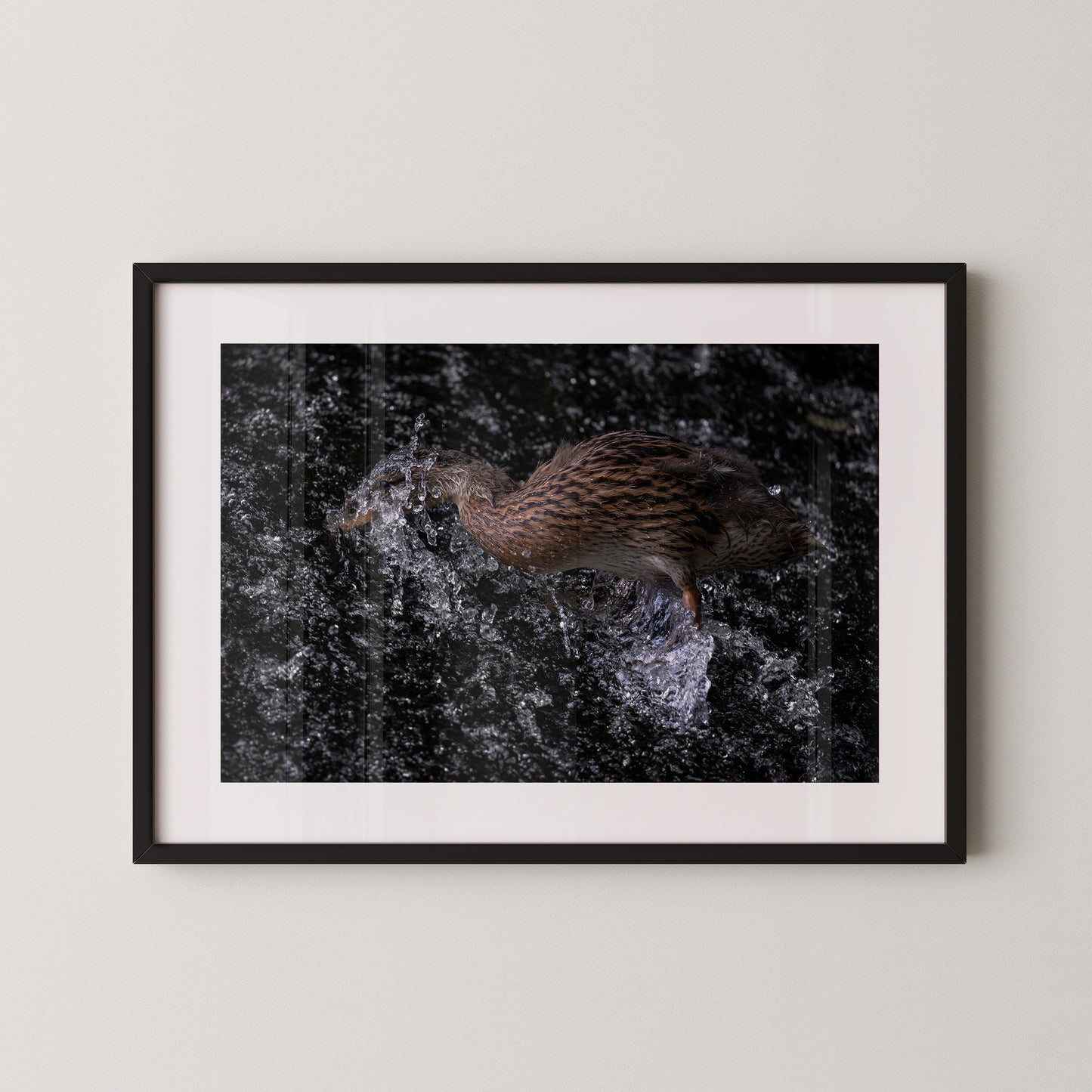 Die Ente und das Wehr