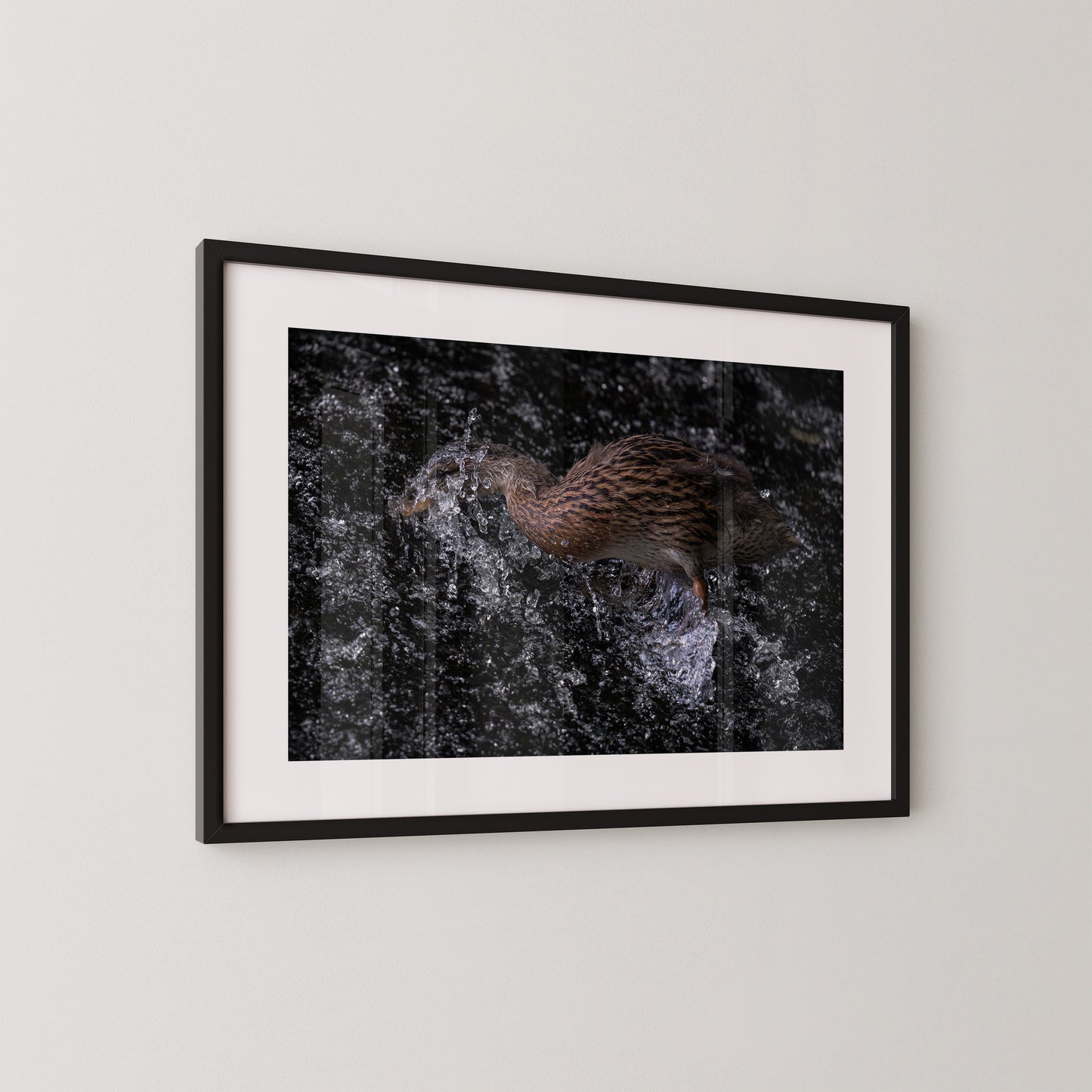 Die Ente und das Wehr
