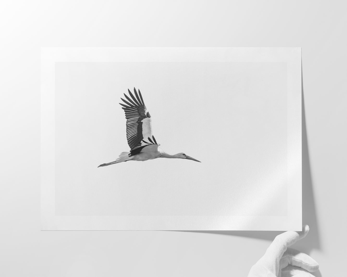 Der Flug des Storchs