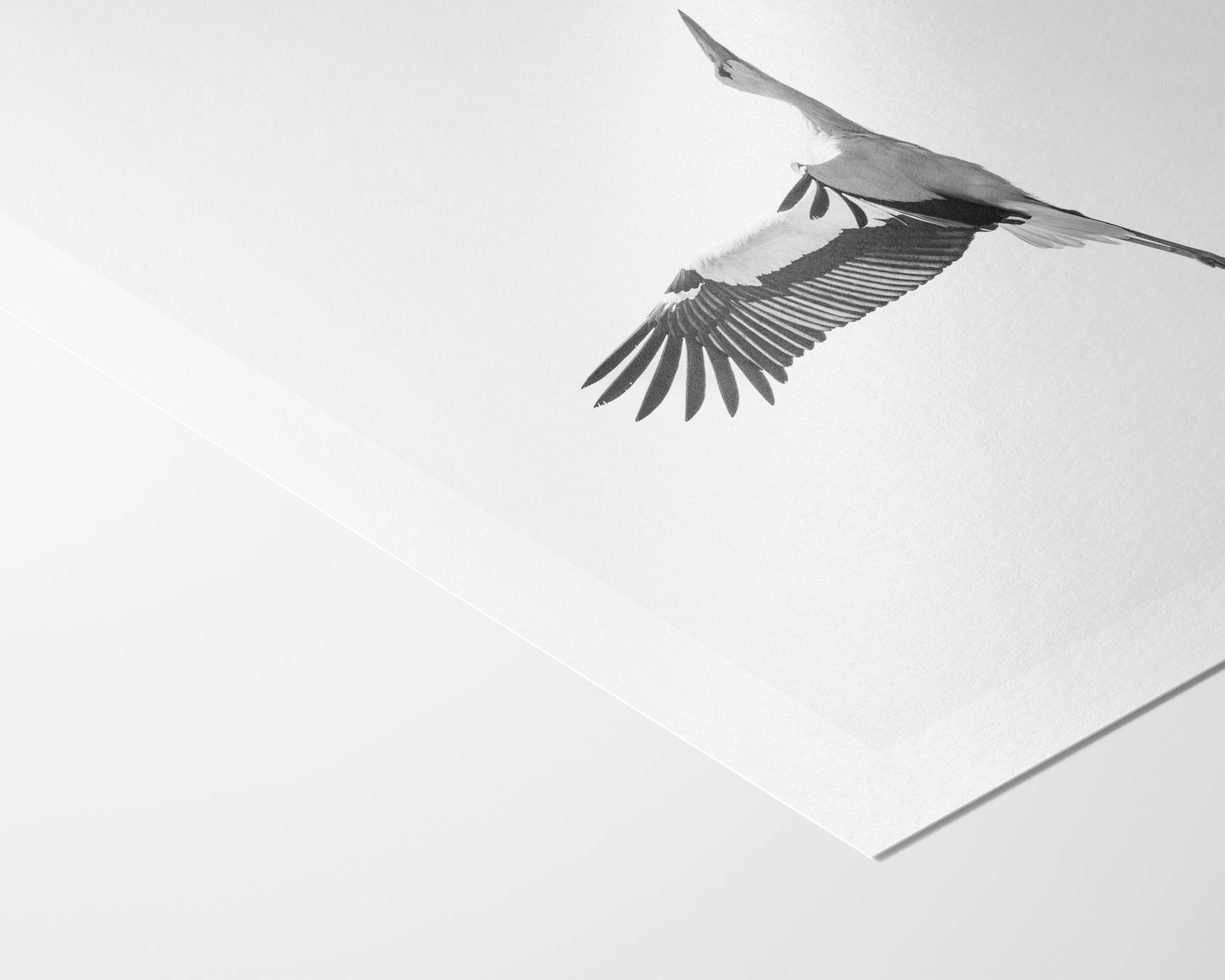 Der Flug des Storchs