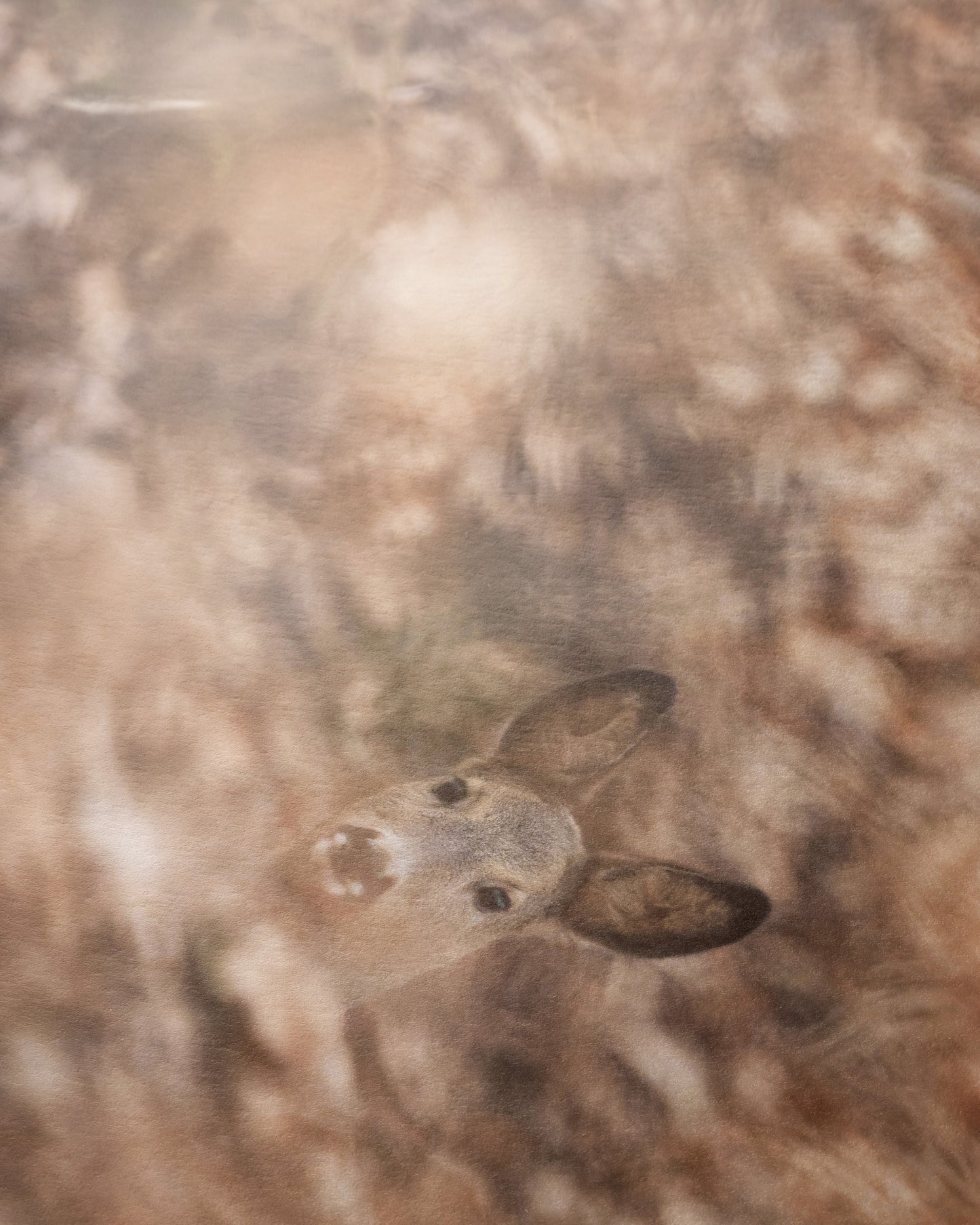 Versteckspiel