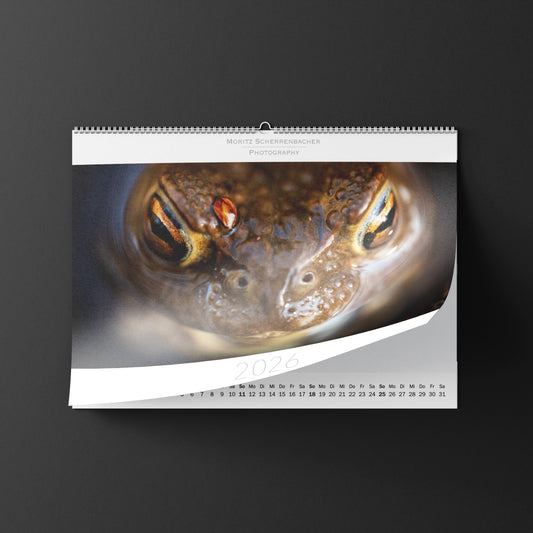 Wandkalender 2026 Querformat