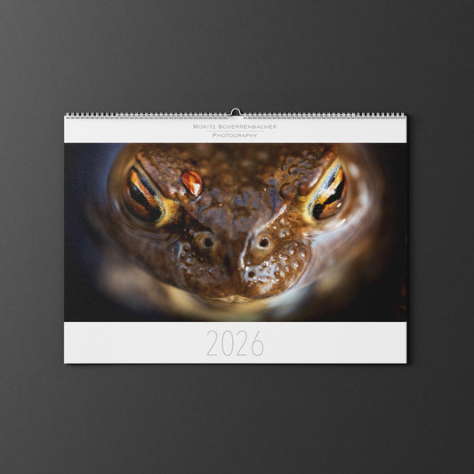 Wandkalender 2026 Querformat
