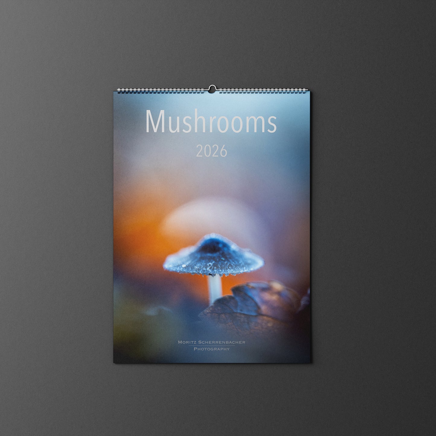 Wandkalender Mushrooms