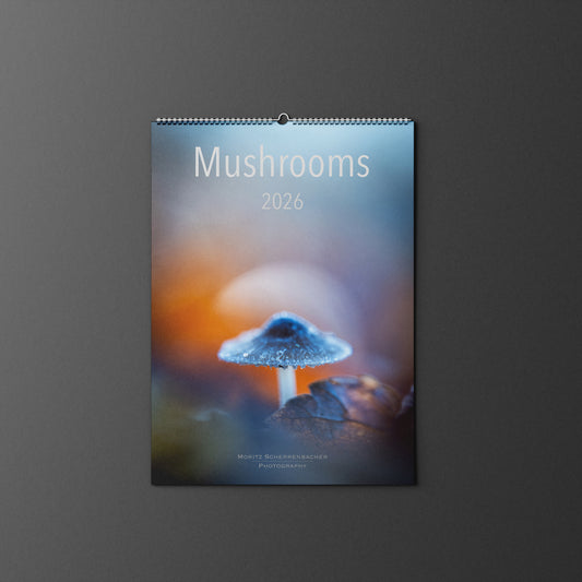 Wandkalender Mushrooms